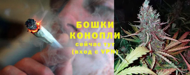 Каннабис THC 21%  купить наркотики цена  Николаевск 